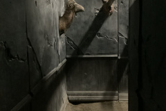 2_2nd-Photo-of-Exit-of-Trophy-Room-