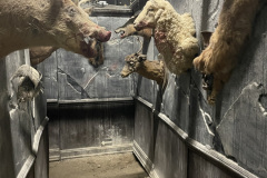 2_Eerie-Entire-Trophy-Hallway