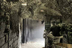 2_Eerie-View-of-1st-Room-Before-Entering-1st-Hallway