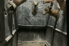 Entrance-Into-Trophy-Room-Vacuum-Form-Stone-Walls-