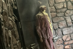 The-Horror-Dome-Shock-Therapy-Without-Costume-3800-NEW-PRICE