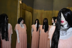 1_DSC_0180