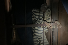 1_1st-Jail-Cell-Inmate-Stand-Alone-and-Semi-Posable