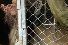 1_Another-Inside-Zombie-Actor-Area