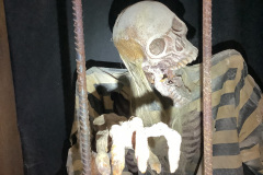 1_Close-Up-of-Another-Jail-Cell-Inmate-