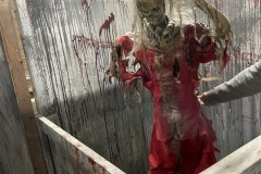 Quarantine-Skelerector-Fully-Engaged