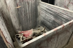 Quarantine-Skelerector-Prop-before-Vortex