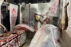 Quarantine-View-from-Side-of-2nd-Butcher-Table