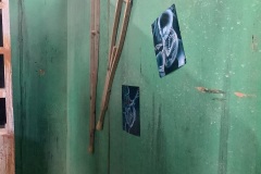 Right-Side-Green-Luan-Panels-of-Dr.-Room