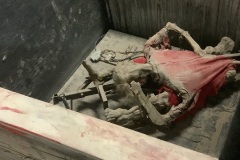 Skelerector-Prop-before-Vortex-Tunnel