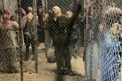 Static-Zombies-and-Fence-Panels