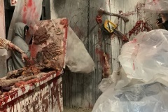 View-from-1st-Sliding-Panel-Scare