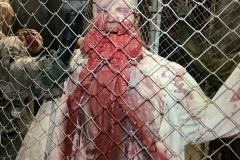 Zombie-Creature-Stand-Alone-Semi-Posable